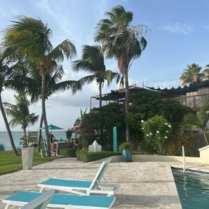 Meet your Posher, Gracie